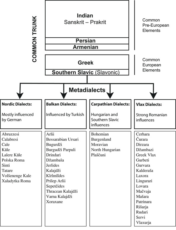 Roma Groups