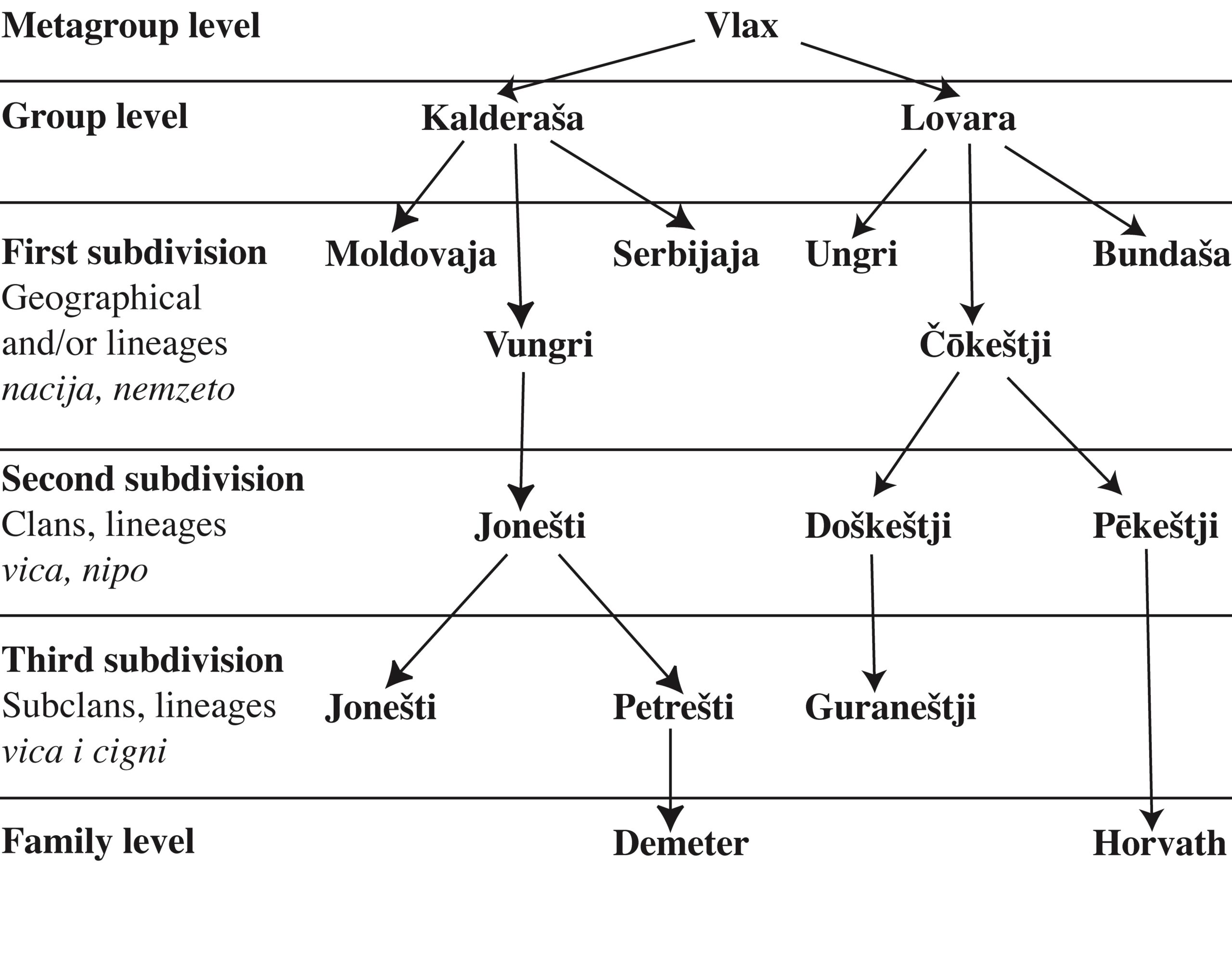 Social Organisation