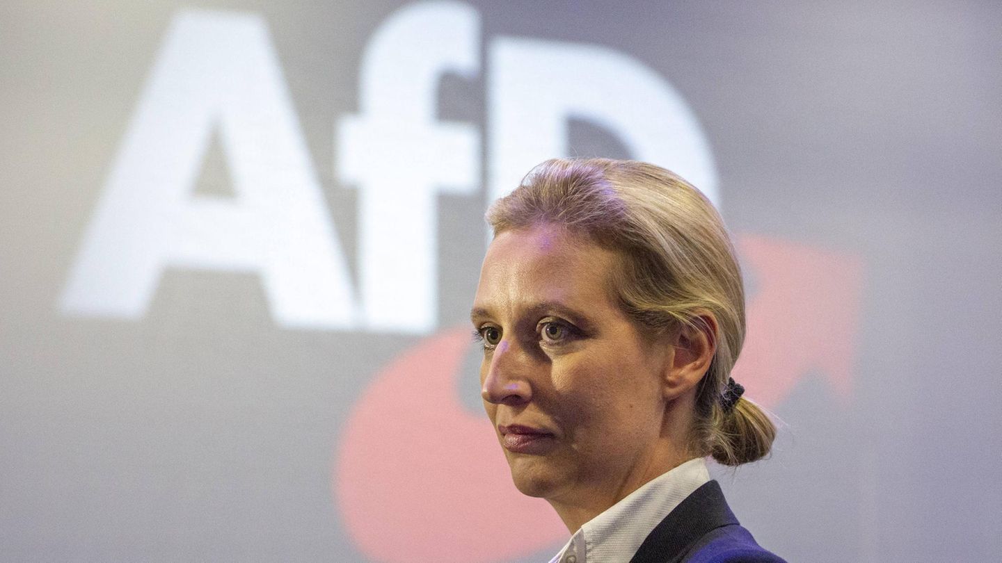 Alice Weidel