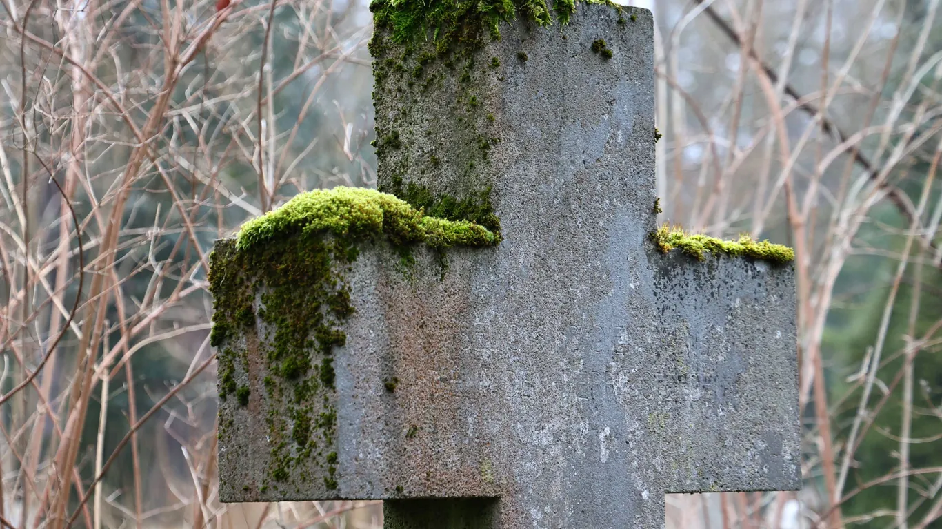 Hamburg: Graves Desecrated