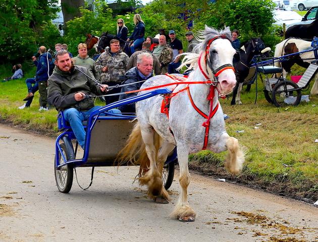 Appleby Horse Fair