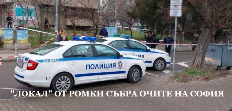 Sofia: Brawl