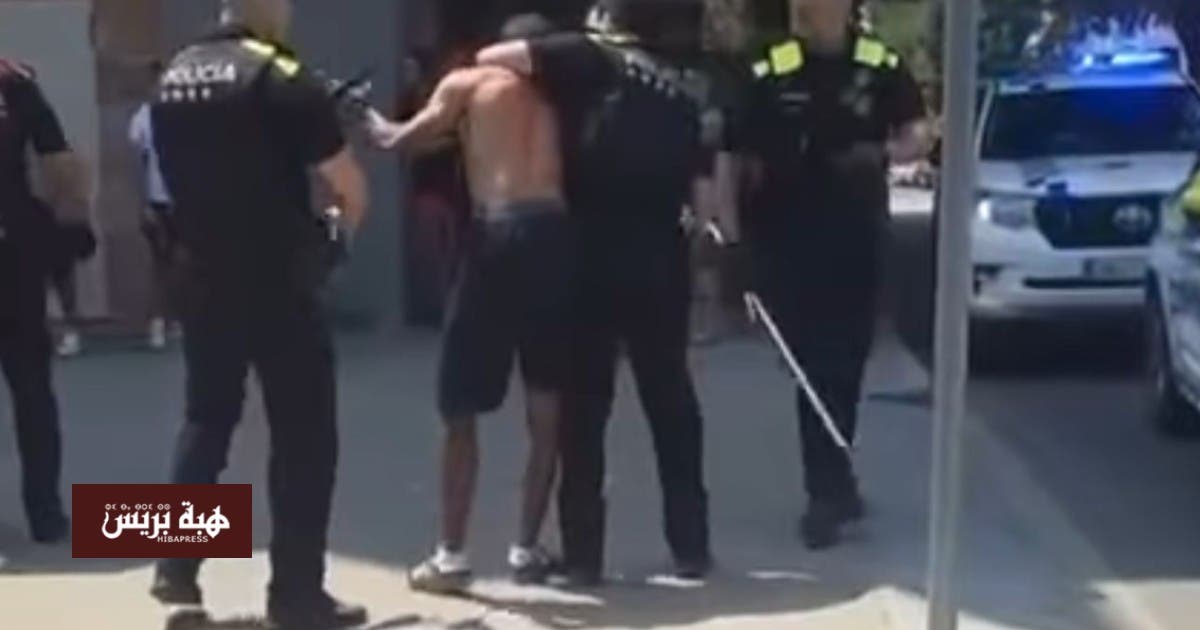 Spain: Fight