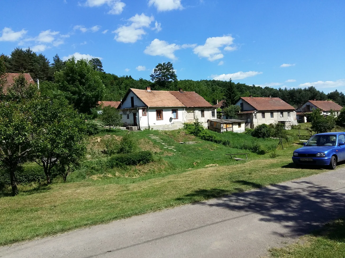 Hungary and Racial Segregation