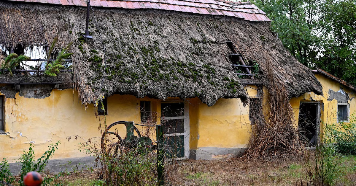 Hungarian Segregation Hungarian Segregation
