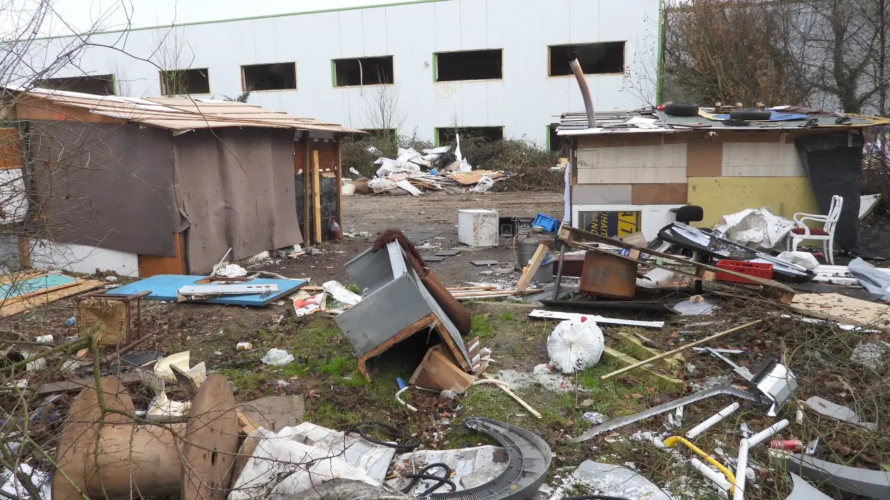 French Chronicle … French Chronicle …