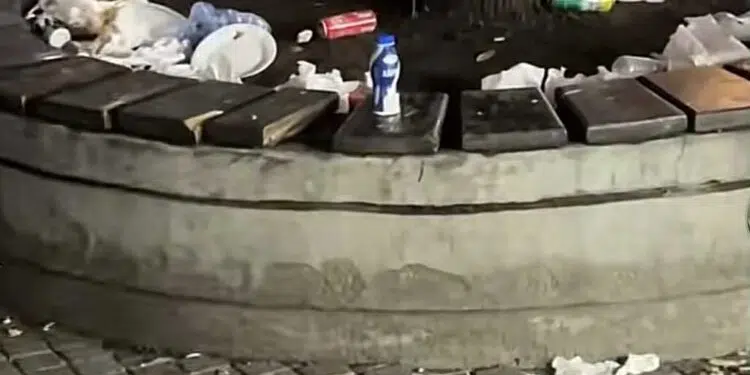 Tik Tok and Garbage Tik Tok and Garbage