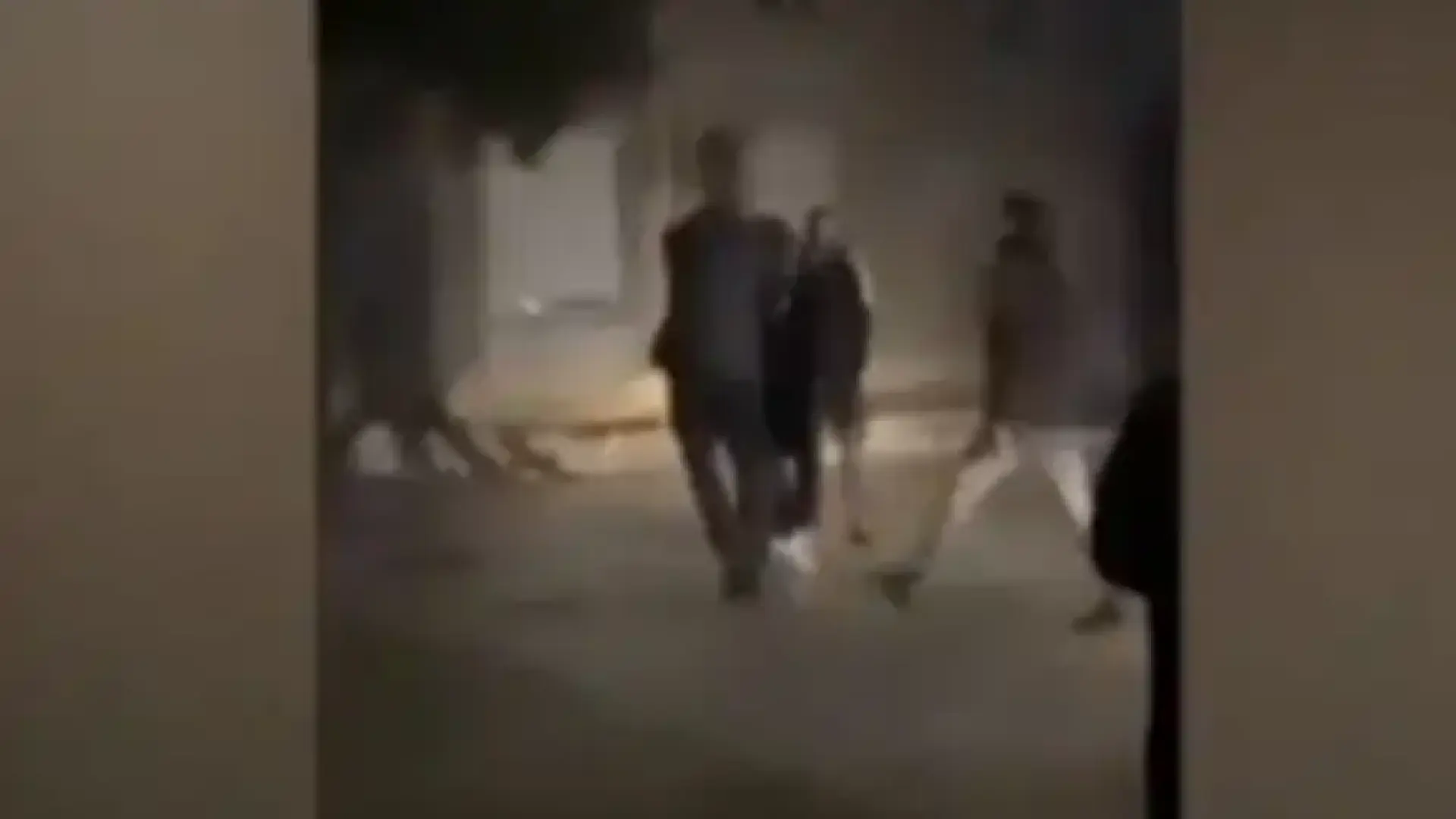 Bulgaria: Brawl Bulgaria: Brawl