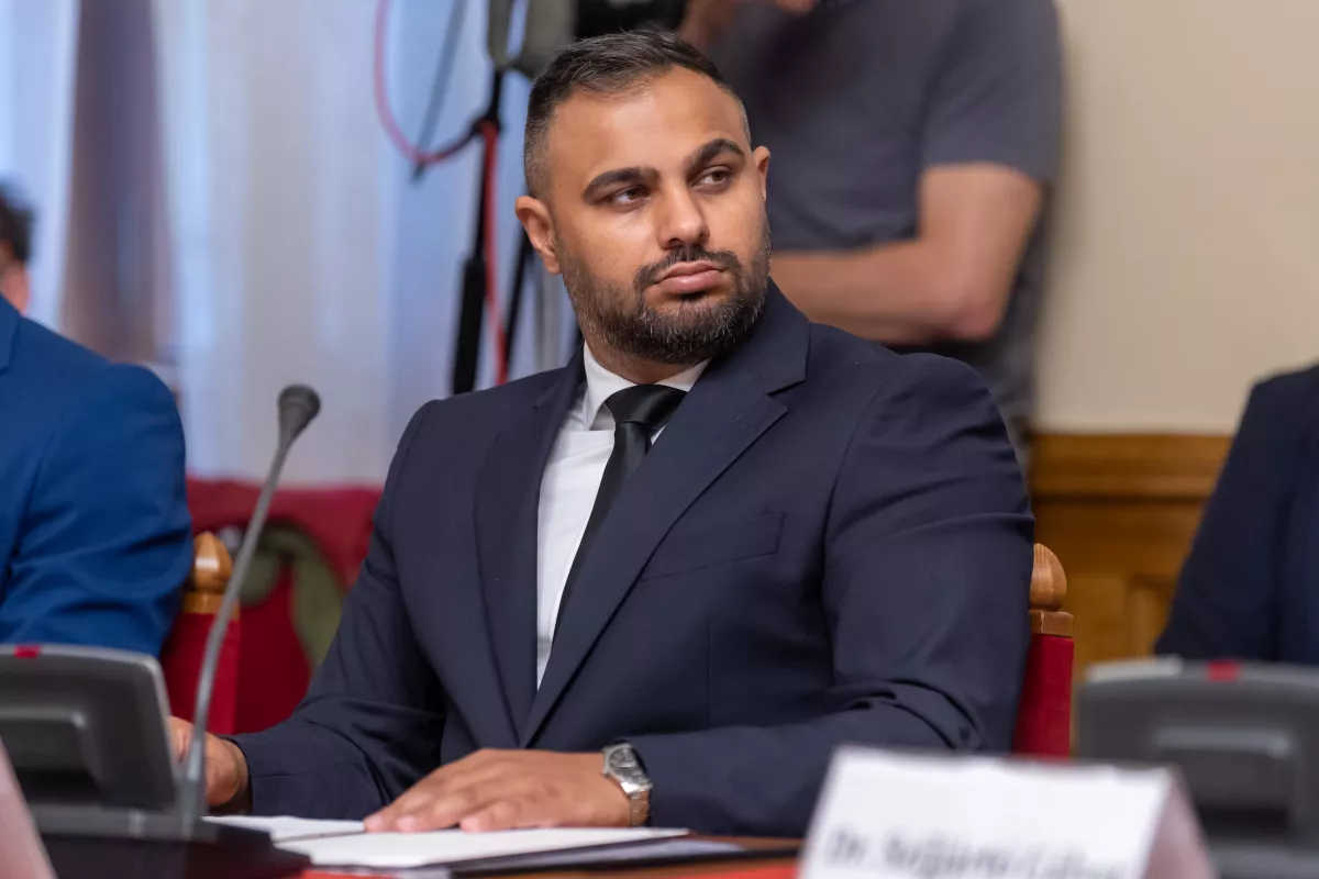 Hungarian Politics and Roma Hungarian Politics and Roma