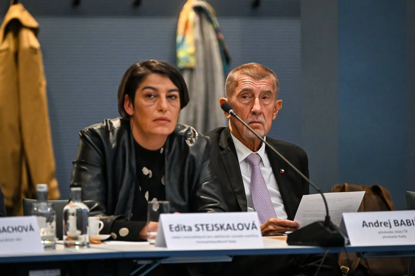 Council for Roma Minority Affairs Council for Roma Minority Affairs